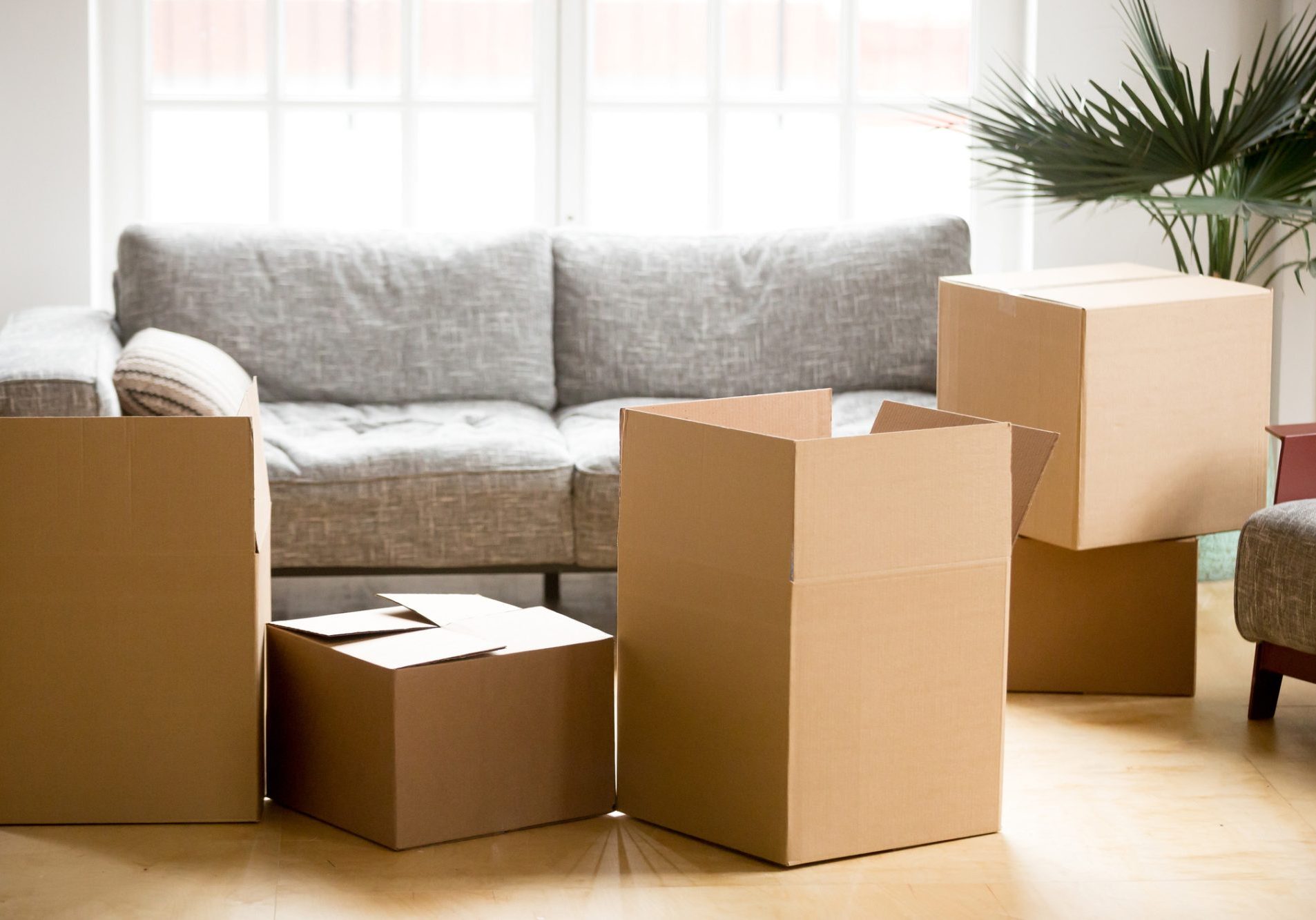 Cardboard carton boxes in living room, packing and moving concep. Cardboard carton boxes with personal belongings household stuff in modern living room, many packed containers on moving day in new home, relocation or house removals delivery service concept