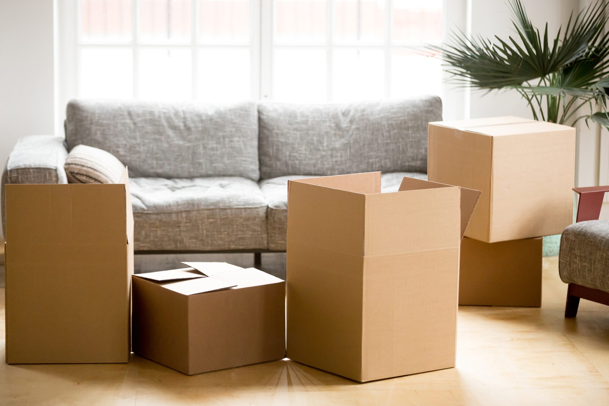 Cardboard carton boxes in living room, packing and moving concep. Cardboard carton boxes with personal belongings household stuff in modern living room, many packed containers on moving day in new home, relocation or house removals delivery service concept