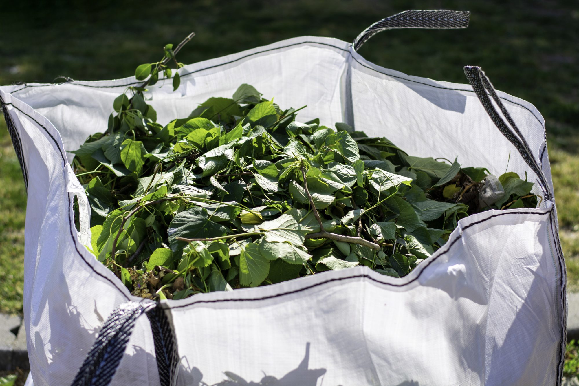 Large white rental bag with organic green garden waste. Big white bag with organic green garden waste. Local councils collecting green waste to process it into green energy and compost.