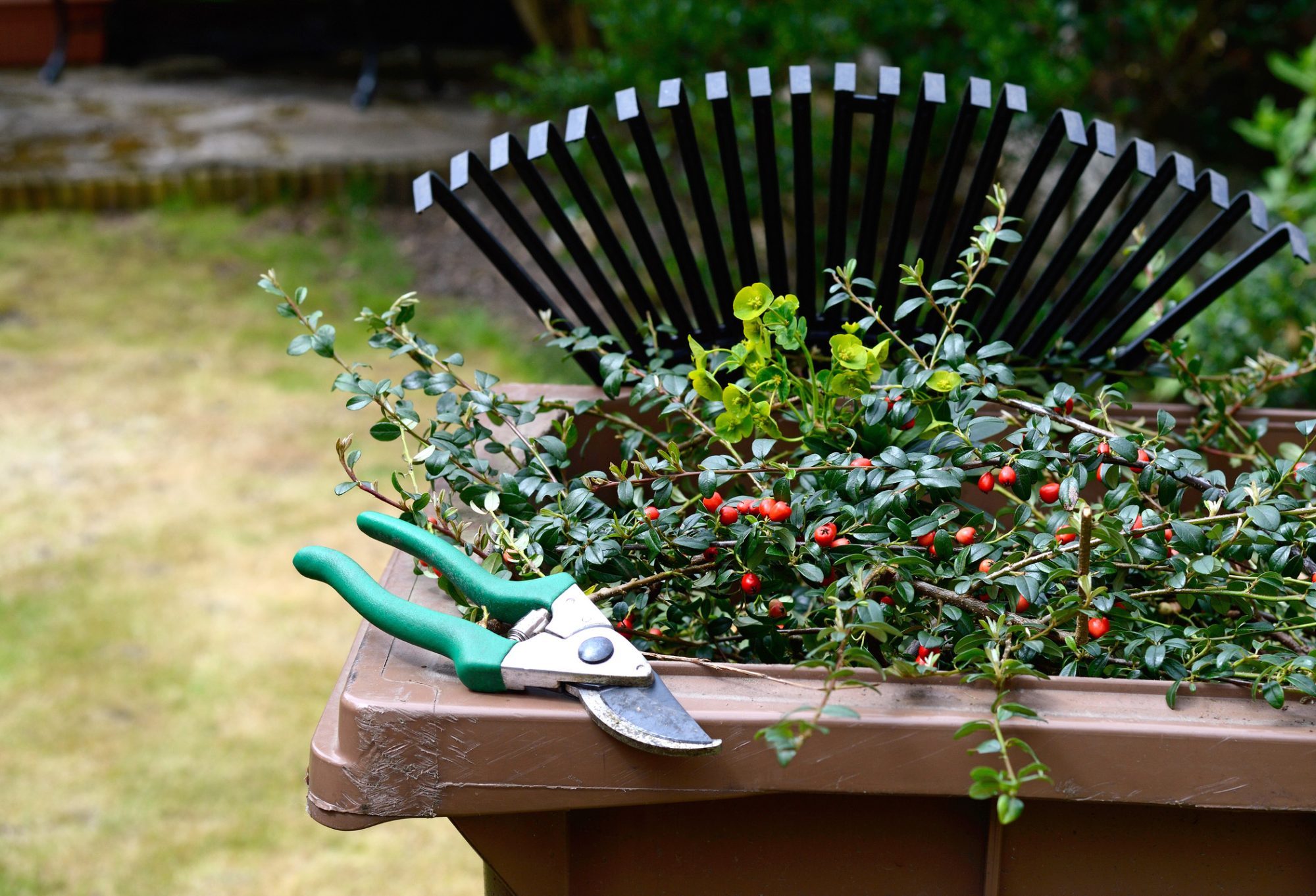 Garden Waste Recycling II. Stock image of garden clippings and secateurs with recycling container and lawn rake in the background. Copy space.